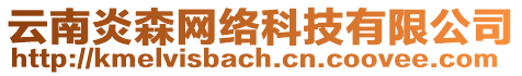 云南炎森網(wǎng)絡(luò)科技有限公司