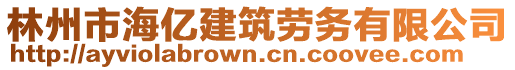 林州市海億建筑勞務有限公司