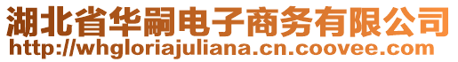 湖北省華嗣電子商務(wù)有限公司