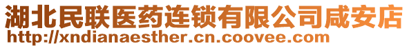 湖北民聯(lián)醫(yī)藥連鎖有限公司咸安店