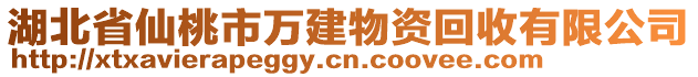 湖北省仙桃市萬建物資回收有限公司