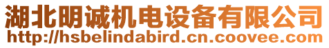 湖北明誠(chéng)機(jī)電設(shè)備有限公司