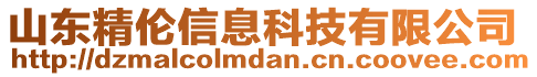 山東精倫信息科技有限公司