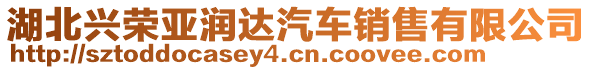 湖北興榮亞潤達(dá)汽車銷售有限公司