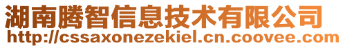 湖南騰智信息技術(shù)有限公司