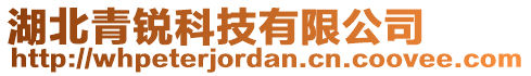 湖北青锐科技有限公司