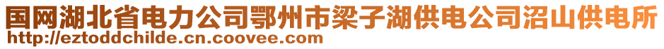 國網(wǎng)湖北省電力公司鄂州市梁子湖供電公司沼山供電所