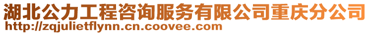 湖北公力工程咨詢服務(wù)有限公司重慶分公司