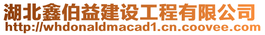 湖北鑫伯益建設(shè)工程有限公司