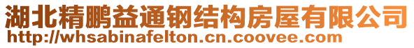 湖北精鵬益通鋼結(jié)構(gòu)房屋有限公司