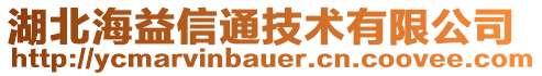 湖北海益信通技術(shù)有限公司