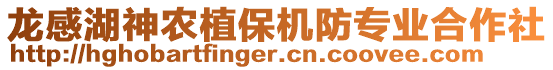 龍感湖神農(nóng)植保機(jī)防專業(yè)合作社