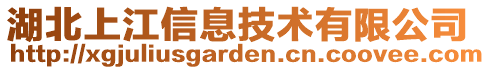 湖北上江信息技术有限公司