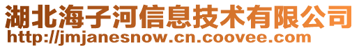 湖北海子河信息技術(shù)有限公司