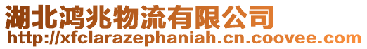 湖北鴻兆物流有限公司