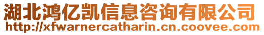湖北鴻億凱信息咨詢有限公司