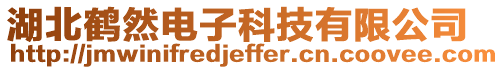 湖北鶴然電子科技有限公司