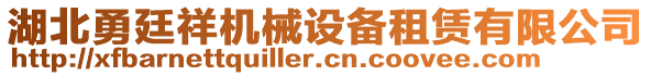 湖北勇廷祥機械設備租賃有限公司