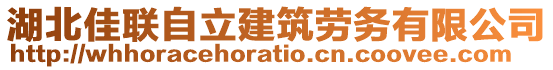 湖北佳聯(lián)自立建筑勞務(wù)有限公司