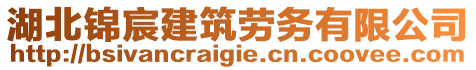 湖北錦宸建筑勞務(wù)有限公司