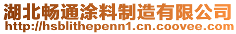 湖北畅通涂料制造有限公司