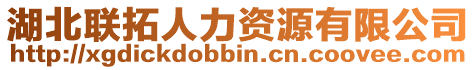 湖北聯(lián)拓人力資源有限公司