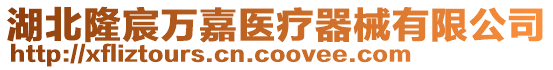 湖北隆宸萬嘉醫(yī)療器械有限公司