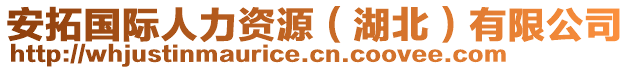 安拓國際人力資源（湖北）有限公司