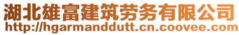 湖北雄富建筑勞務(wù)有限公司