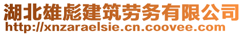 湖北雄彪建筑勞務(wù)有限公司