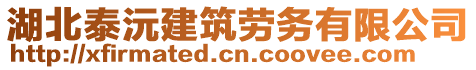 湖北泰沅建筑勞務有限公司