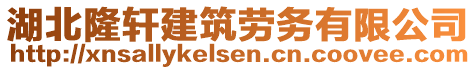 湖北隆軒建筑勞務(wù)有限公司