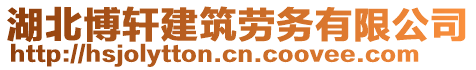 湖北博軒建筑勞務(wù)有限公司