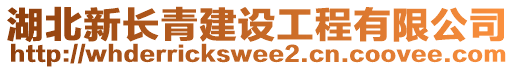 湖北新長(zhǎng)青建設(shè)工程有限公司