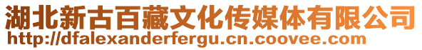 湖北新古百藏文化傳媒體有限公司