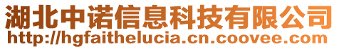 湖北中诺信息科技有限公司