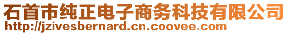 石首市純正電子商務科技有限公司