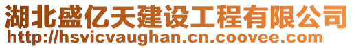 湖北盛億天建設工程有限公司