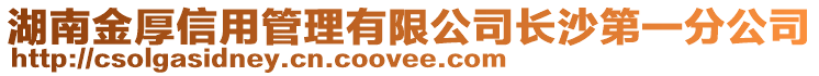 湖南金厚信用管理有限公司长沙第一分公司