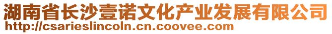 湖南省长沙壹诺文化产业发展有限公司