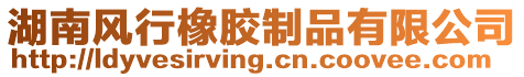 湖南風(fēng)行橡膠制品有限公司