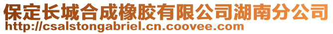 保定長城合成橡膠有限公司湖南分公司