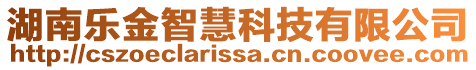 湖南樂金智慧科技有限公司