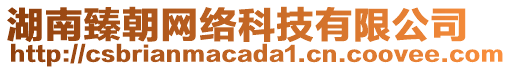 湖南臻朝網(wǎng)絡(luò)科技有限公司