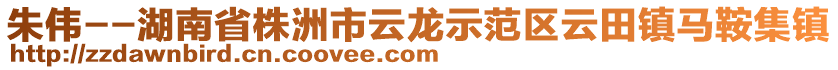 朱伟--湖南省株洲市云龙示范区云田镇马鞍集镇