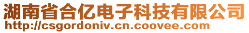 湖南省合億電子科技有限公司