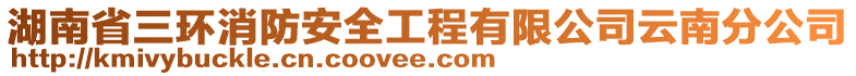 湖南省三環消防安全工程有限公司云南分公司