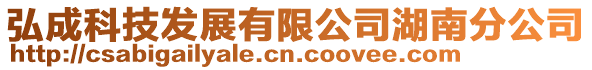 弘成科技發展有限公司湖南分公司