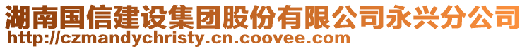 湖南國信建設集團股份有限公司永興分公司