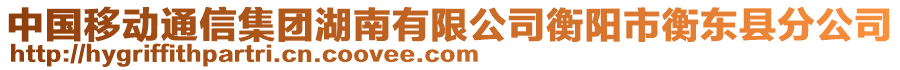 中國移動通信集團湖南有限公司衡陽市衡東縣分公司